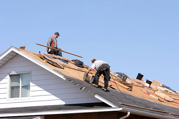 Best Roof Moss and Algae Removal  in New Plymouth, ID